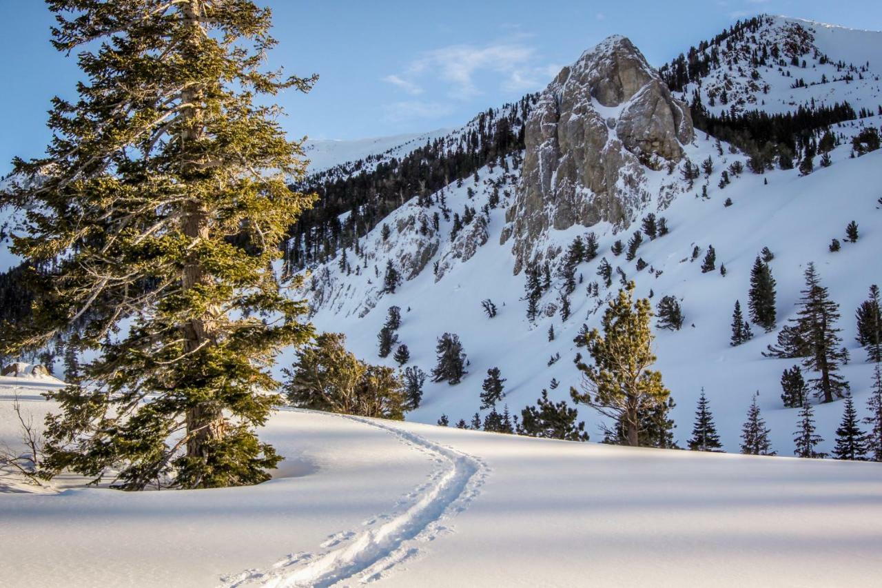 Mammoth View Villas 30 Mammoth Lakes Bagian luar foto